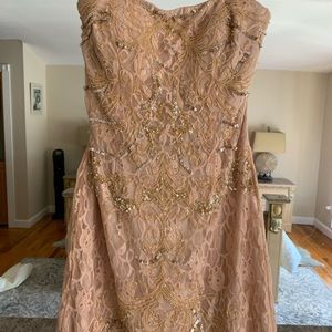 Brand new Beige lace with gold beaded detail dress